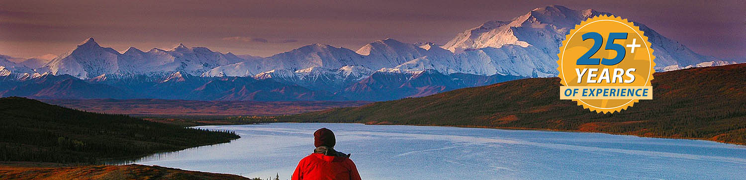 Alaska Polar Bear & Northern Lights Tour with Denali Add-on