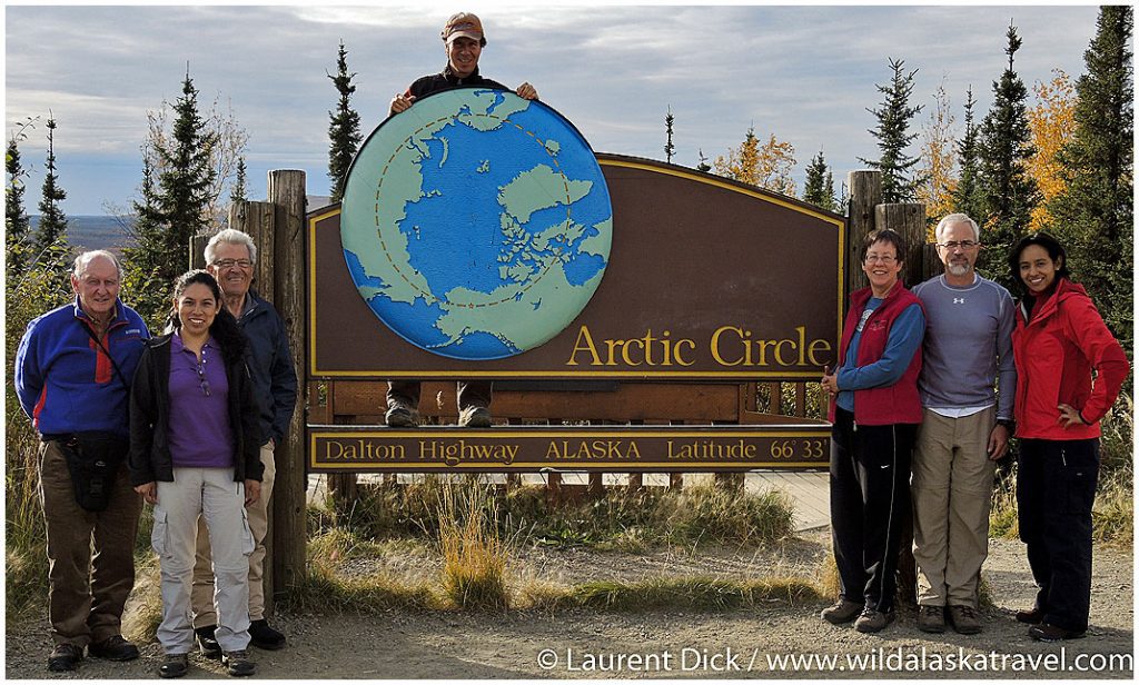 Polar Bear Tours - #1 Polar Bears Tour in Alaska!