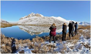 Dalton Highway Photography Tour