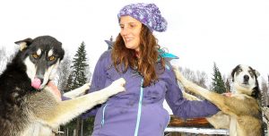 Alaska Dog mushing experience and Kennel Tour