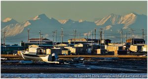 Kaktoivk Alaska with Brooks Range 