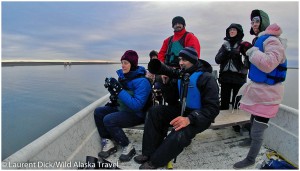 2012-Wild-Alaska-Travel-Alaska-Polar-Bear-and-Northern-Lights-Tour-Guests