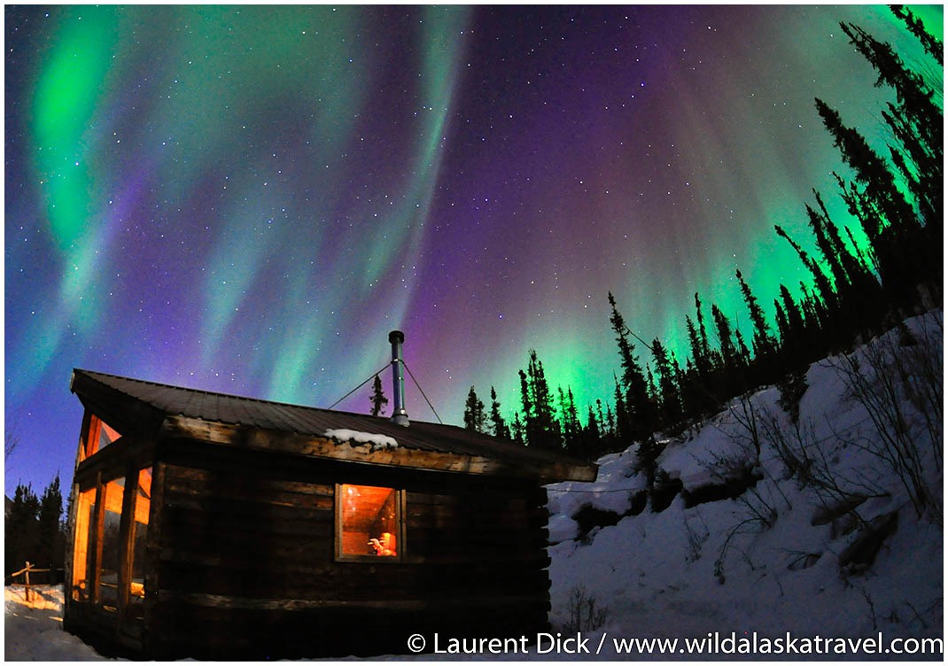 Iditarod 2025 Start Tour Alaska S 1 Winter Event   Alaska Northern Lights Tour With Wild Alaska Travel Photo C Laurent Dick All Rights Reserved 2 