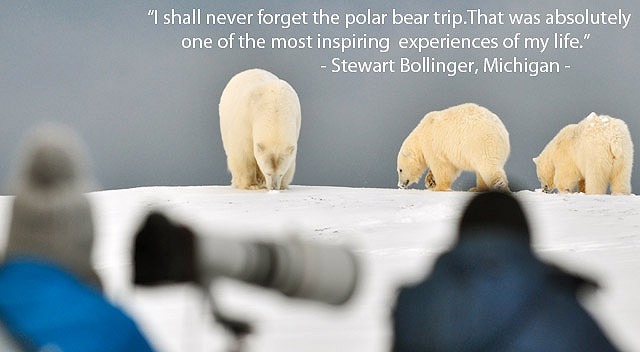 Alaska-Polar-Bear-Viewing-and-Photo-Tour1