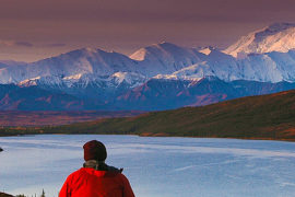 Alaska-Polar-Bear-and-Northern-Lights-Tour-with-Denali-National-Park-Add-on1