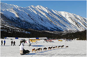 Day-6-Iditarod-Tours-with-Wild-Alaska-Travel-photo-c-Laurent-Dick