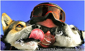 Day-8-Iditarod-Finish-Tour-Dog-Mushing-with-Wild-Alaska-Travel-c-Laurent-Dick-Wild-Alaska-Travel