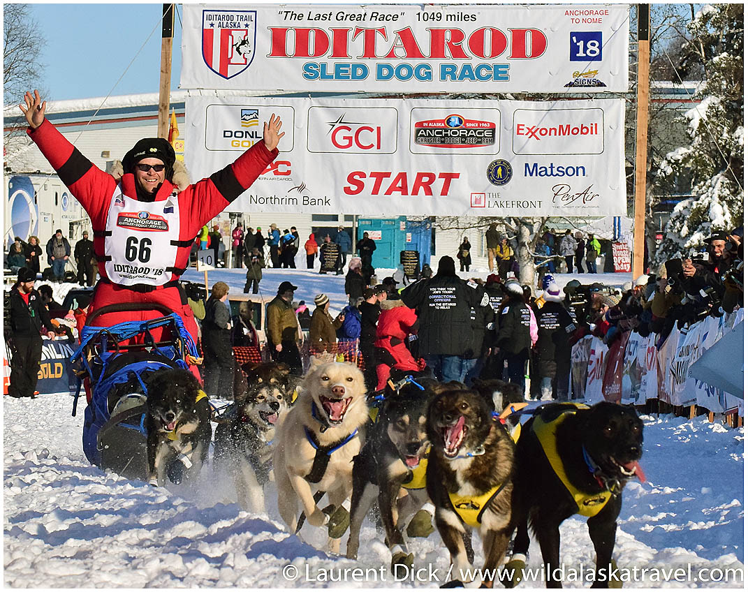    Iditarod Start Tour Willow Restart 