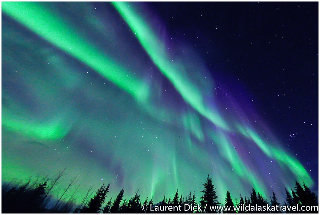 2021 Alaska Northern Lights Tour - Wild Alaska Travel