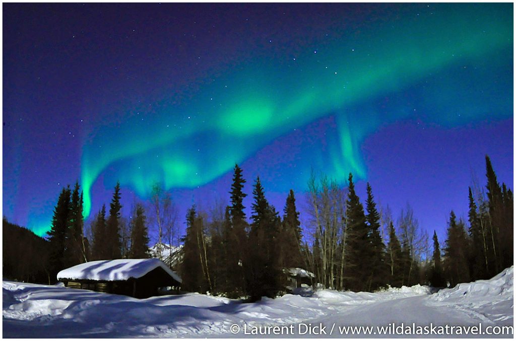 trip to northern lights alaska