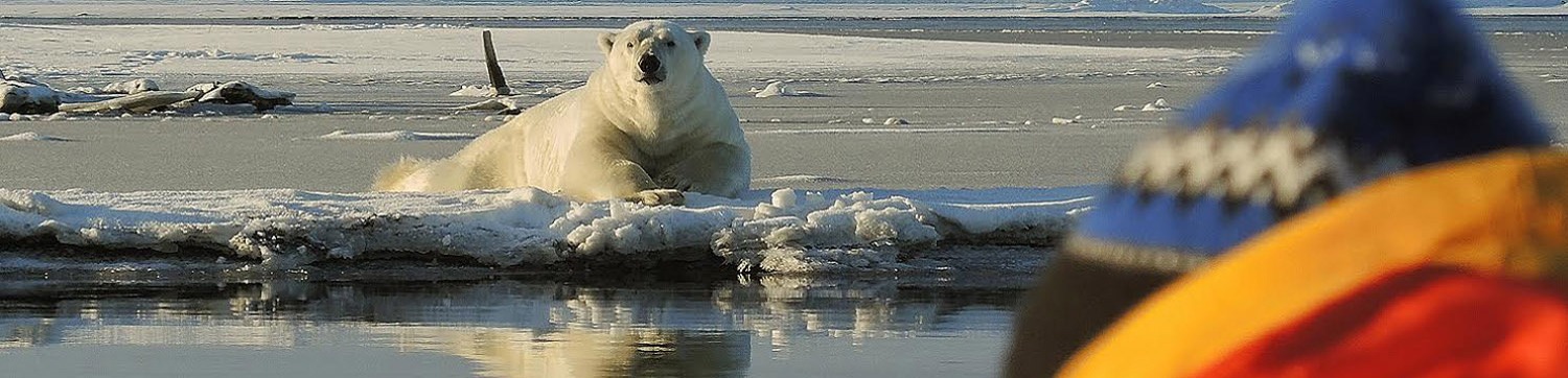 Alaska Polar Bear Tour with Wild Alaska Travel