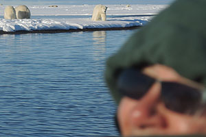 Shirley-Scully-Guest-Testimonial-Alaska-Polar-Bear-Northern-Lights-Tour