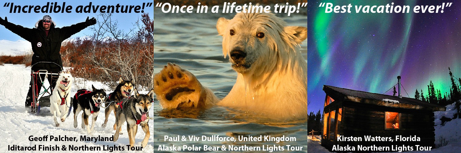 Alaska Iditarod Tours, Alaska Polar Bear Tours, Alaska Northern Lights Tours